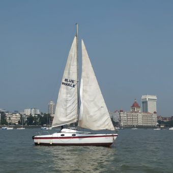 Maxi 7.7 Yacht – Sailing at Gateway of India, Mumbai