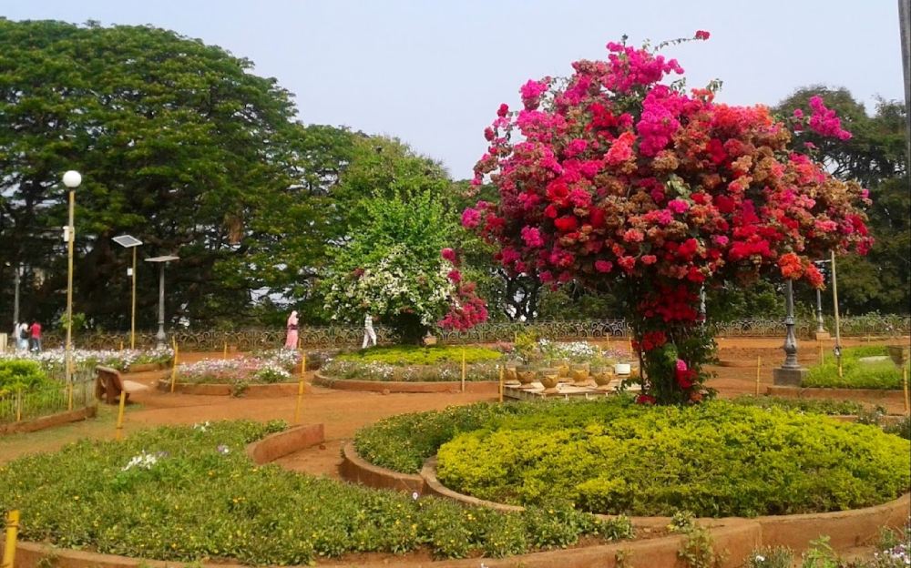 Things to Do in Mumbai, Hanging Gardens, Malabar Hills