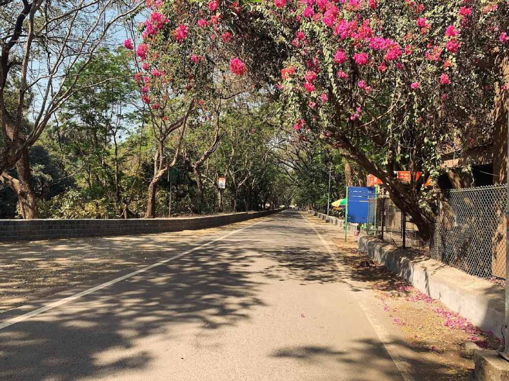 Things to Do in Mumbai, Sanjay Gandhi National Park, Borivali