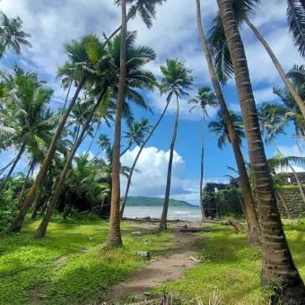 Tent by the Bay, Revdanda Beach, Alibaug Camping
