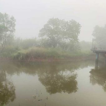 Deependra Kale's Review for Wilder West Adventures, Kolad