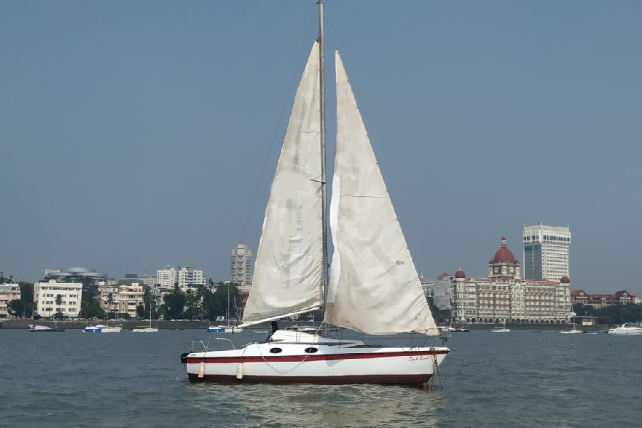 Maxi 7.7 Yacht – Sailing at Gateway of India, Mumbai