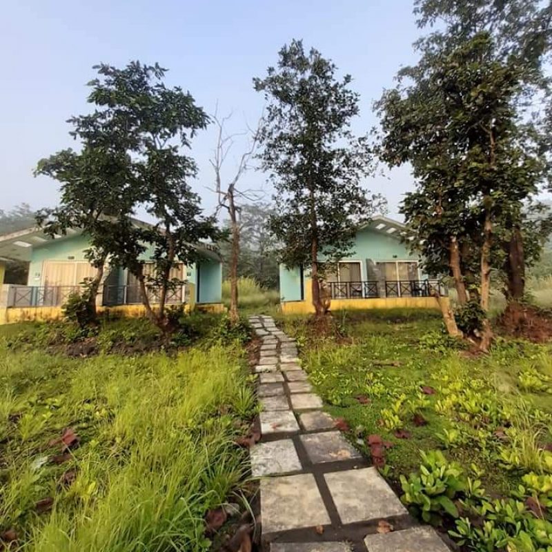 Gaachee Resort, Kolad