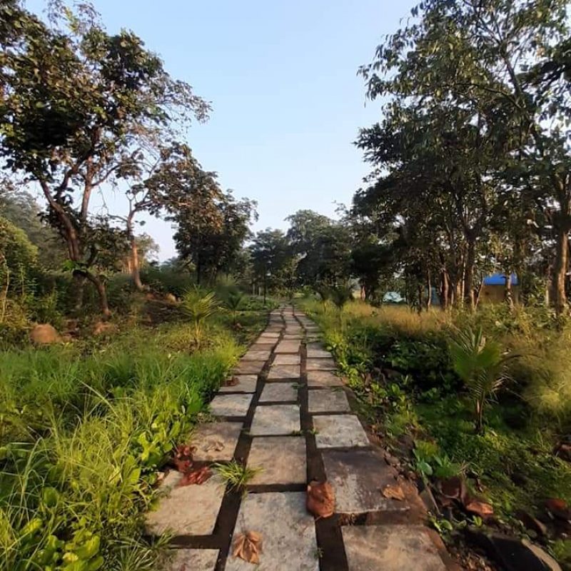 Gaachee Resort, Kolad