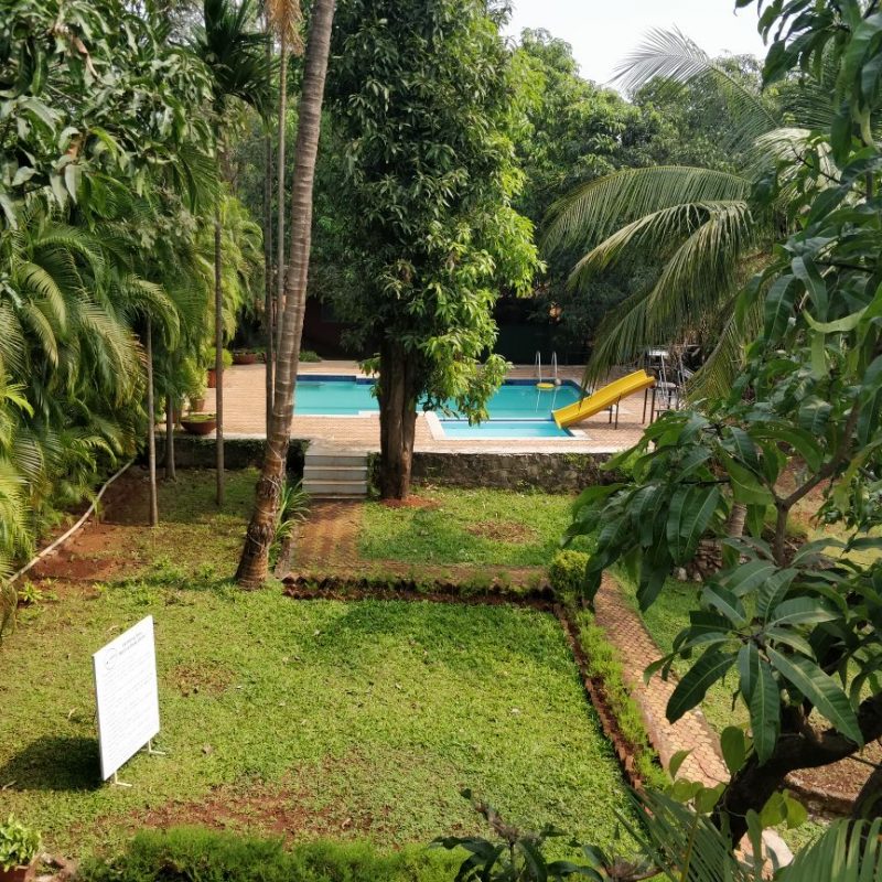 Swimming Pool at Hans Adventures Resort, Kolad