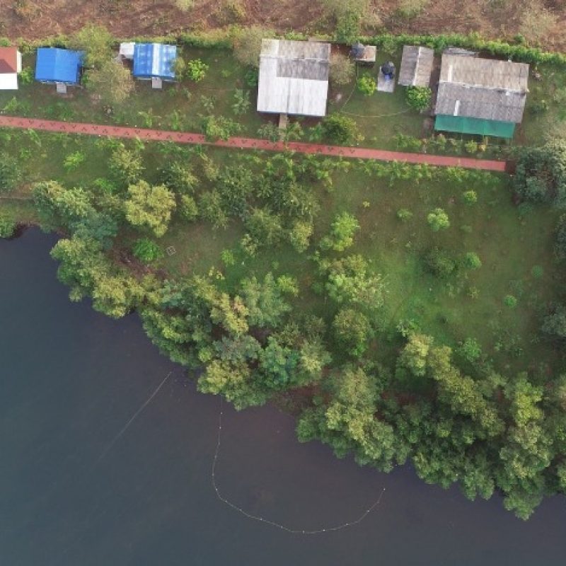 The Waterfront, Kolad