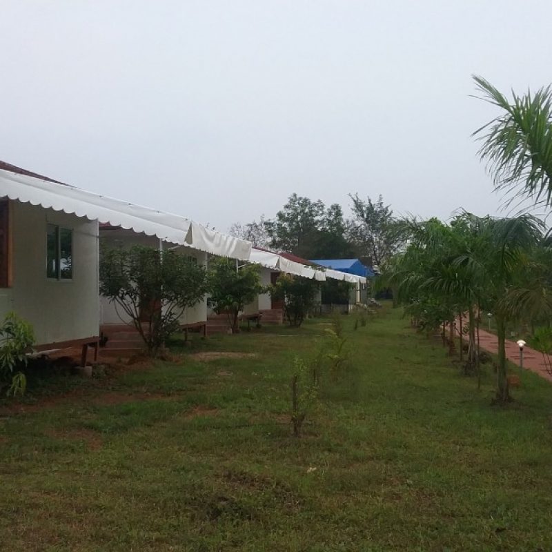 The Waterfront, Kolad