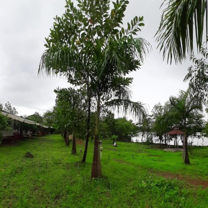 The Waterfront, Kolad