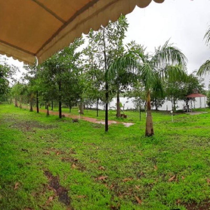 The Waterfront, Kolad