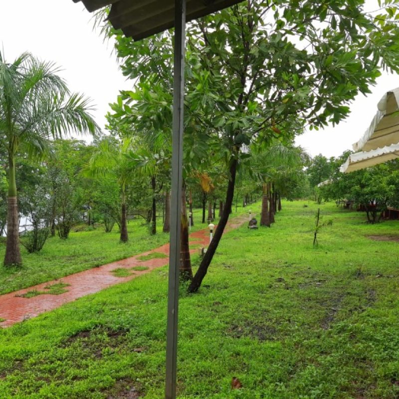 The Waterfront, Kolad