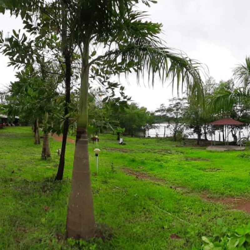The Waterfront, Kolad