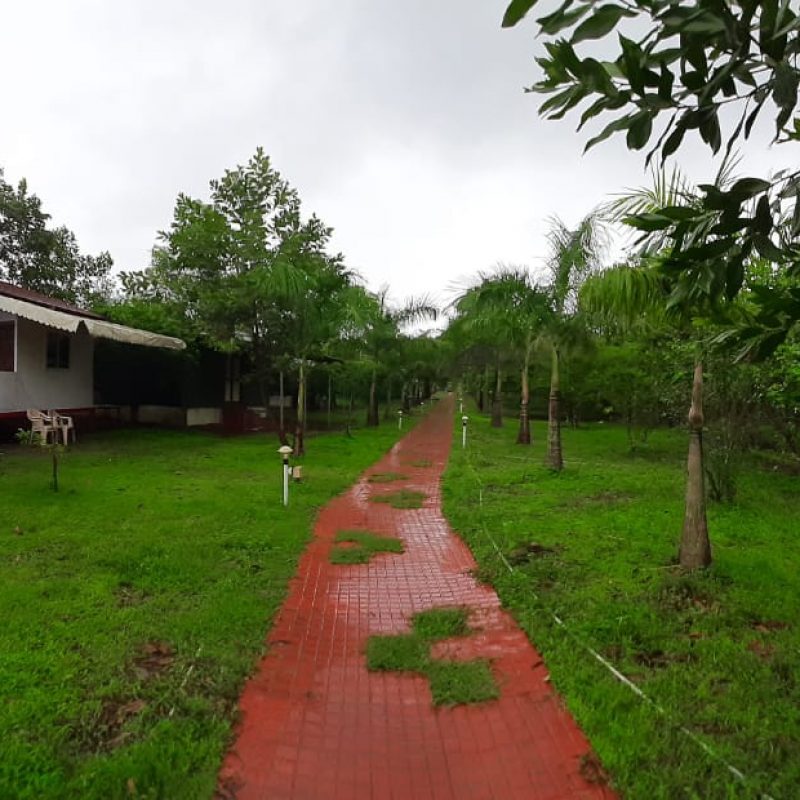 The Waterfront, Kolad