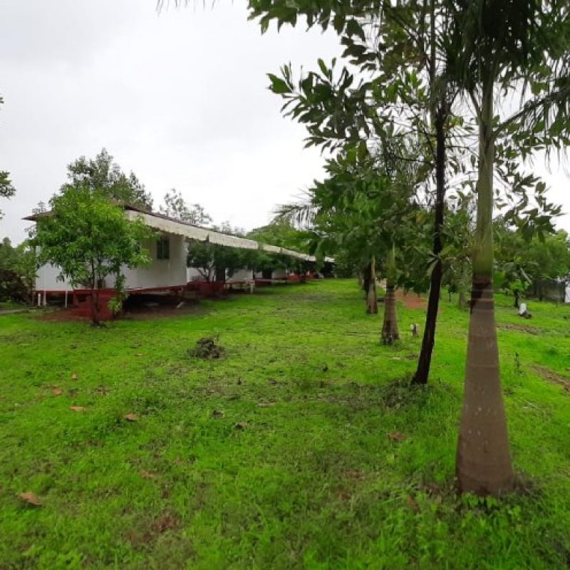 The Waterfront, Kolad