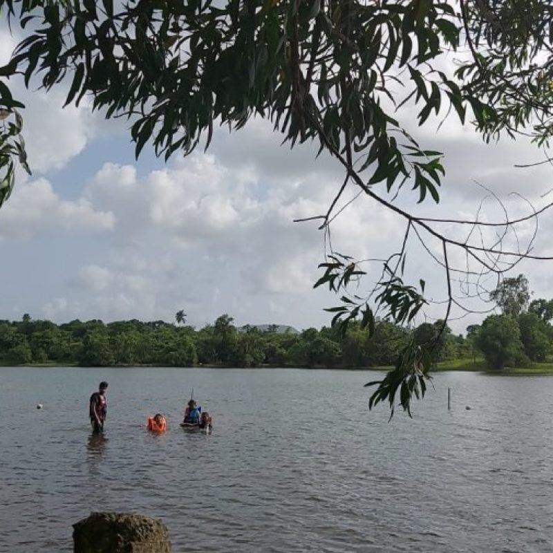 The Waterfront, Kolad