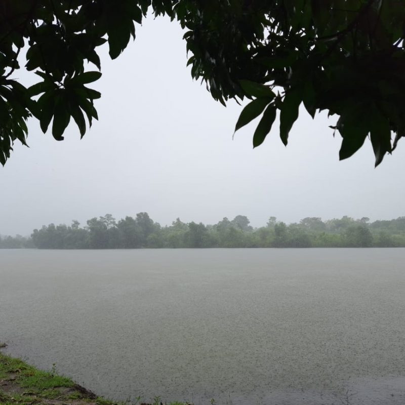 The Waterfront, Kolad