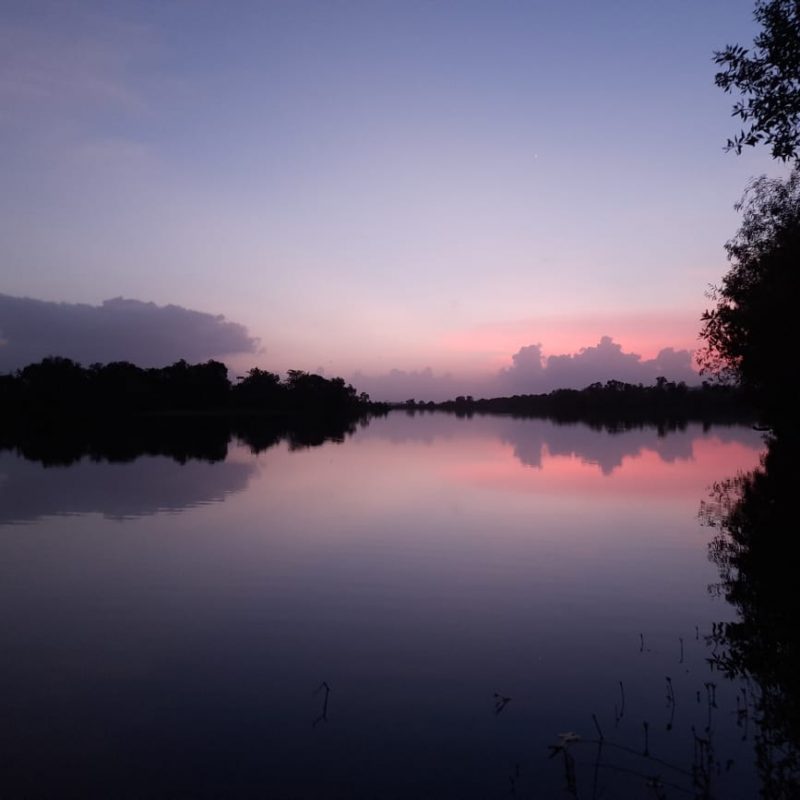 The Waterfront, Kolad